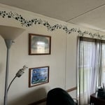 before tear out