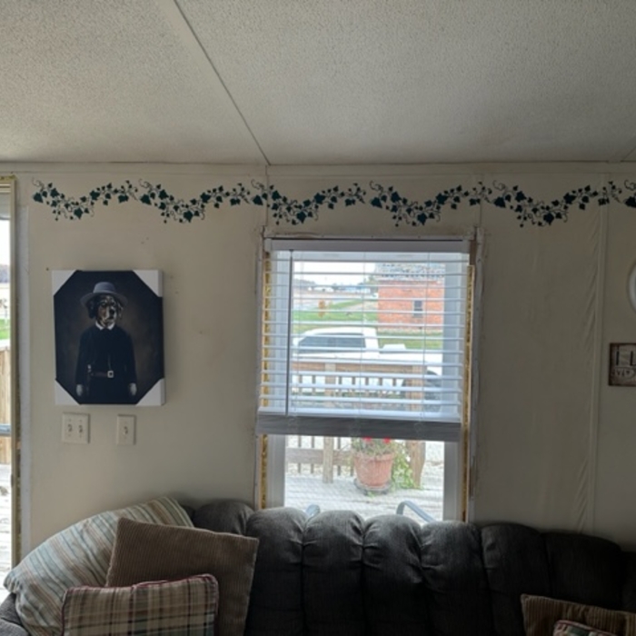 before tear out