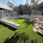Dog Run