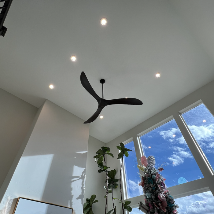 ceiling fan replacement 