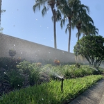 Spray Zone