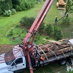 Tree Removal