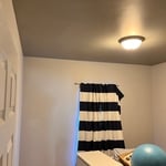 Drywall/painting/flooring