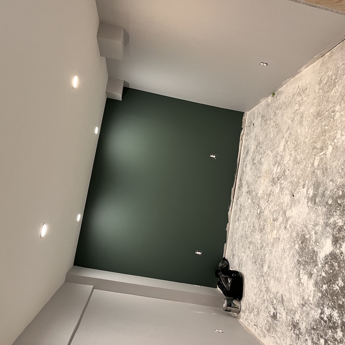 Drywall/painting/flooring