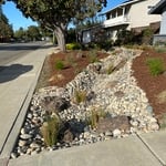 Drought Tolerant