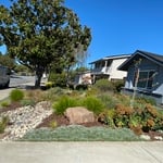 Drought tolerant Plantings