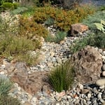Dry Creek