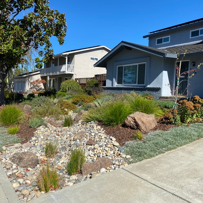 Drought Tolerant Plantings - Fall