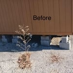 Donna’s underpinning