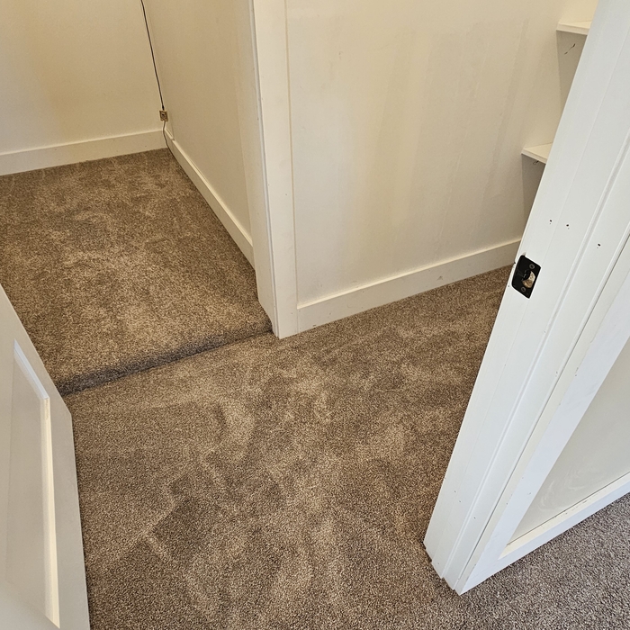 Carpet Install