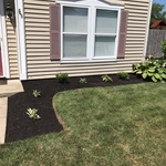 New Bed Installation