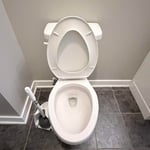 Move out clean