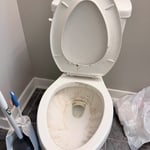 Move out clean