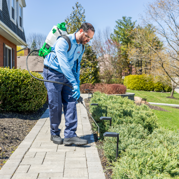 Pest Control Services
