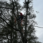 Climbing