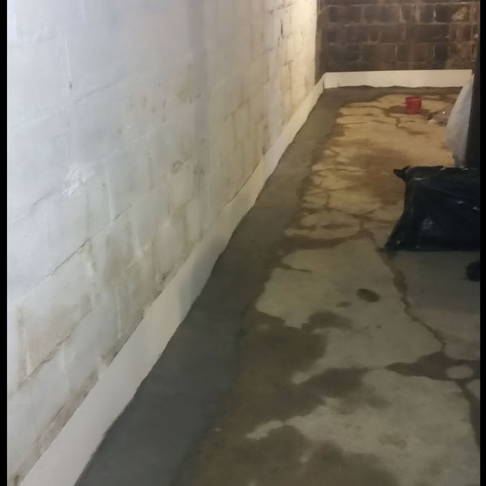 Our Projects