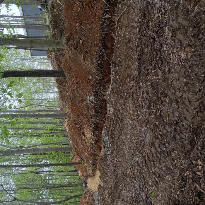 Septic System Install
