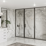 Shower Door Enclosure