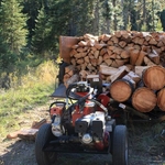 Tree removal