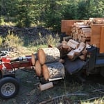 Tree removal