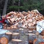 Tree removal