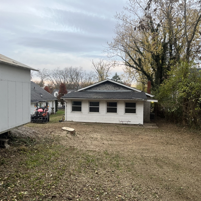 Removed Tree and Renewed Yard