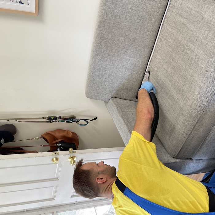 Sofa deep cleaning, sanitizing and steam