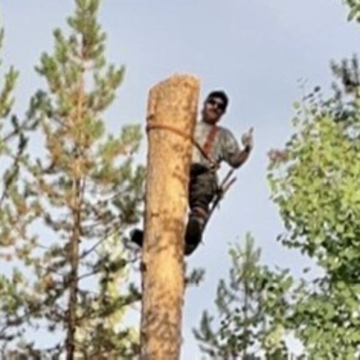 Some trees need to come down in pieces for safety