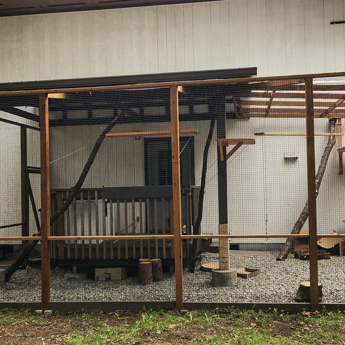 Custom Catio