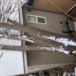 storm damage