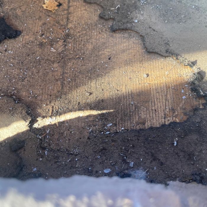 Tile roof inspection