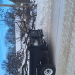 Lambright's Tree Service has you covered!