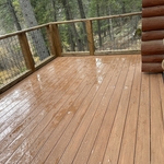 Deck Job