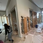 Begining of the remodel