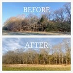 brush management project