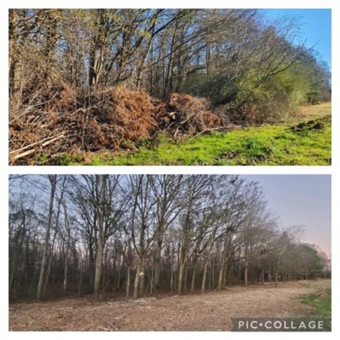 brush management project