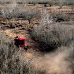 Sendero #2
