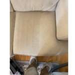 No more pet stains or odor