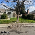 Yard clean-up