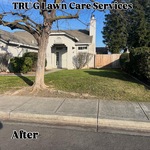 Yard clean-up