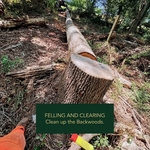 Pro Land Clearing