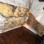 Mold Behind Wall