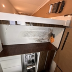 Mold remediation