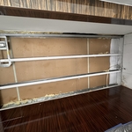 Mold Remediation
