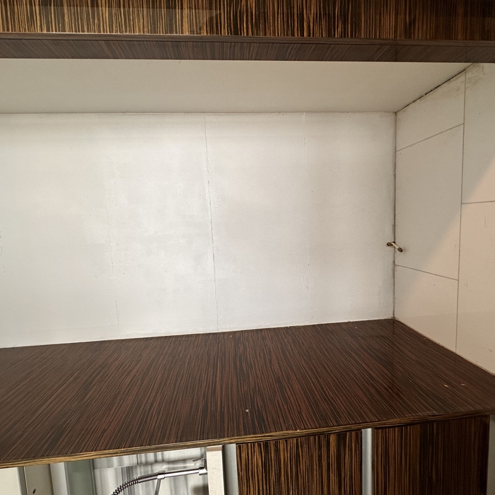 Mold Remediation