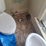 Toilet removal
