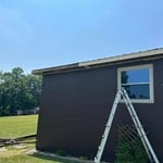 during the project