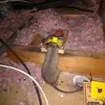 My jobs