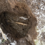 Septic Repair- Before