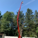 Tree Pruning